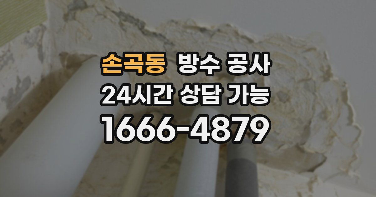 손곡동 누수탐지