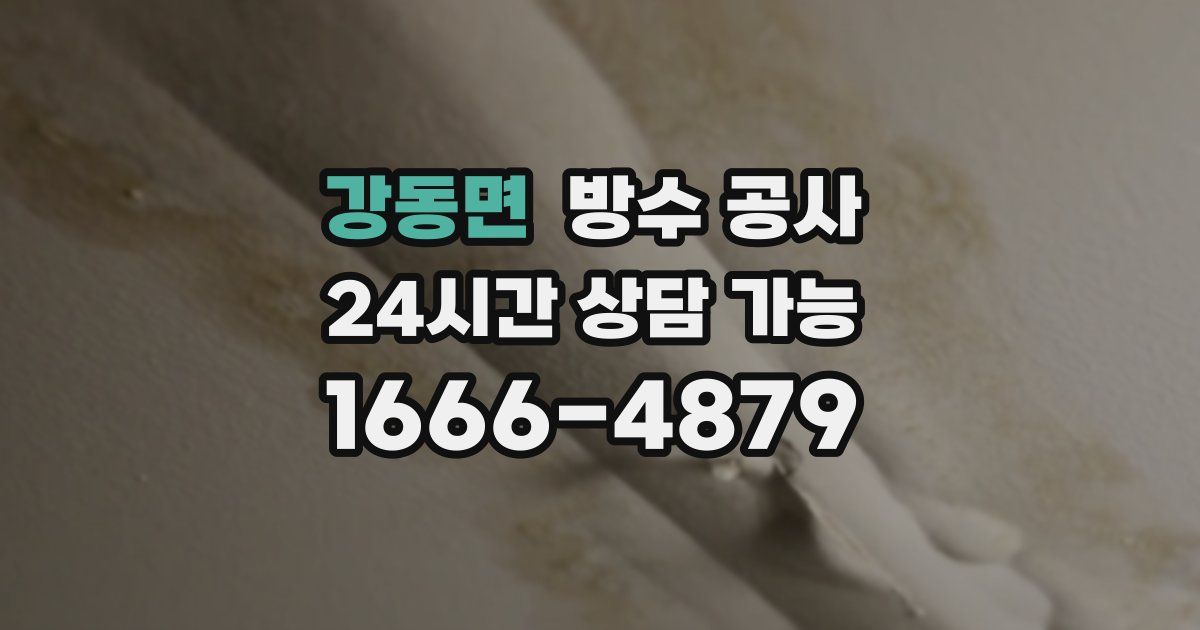 강동면 누수탐지