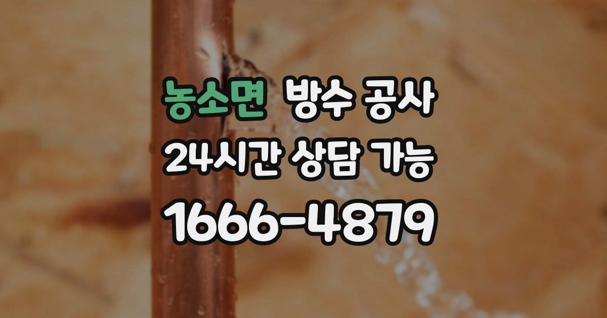 농소면 누수탐지