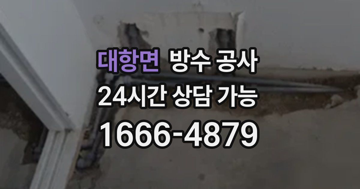 대항면 누수탐지