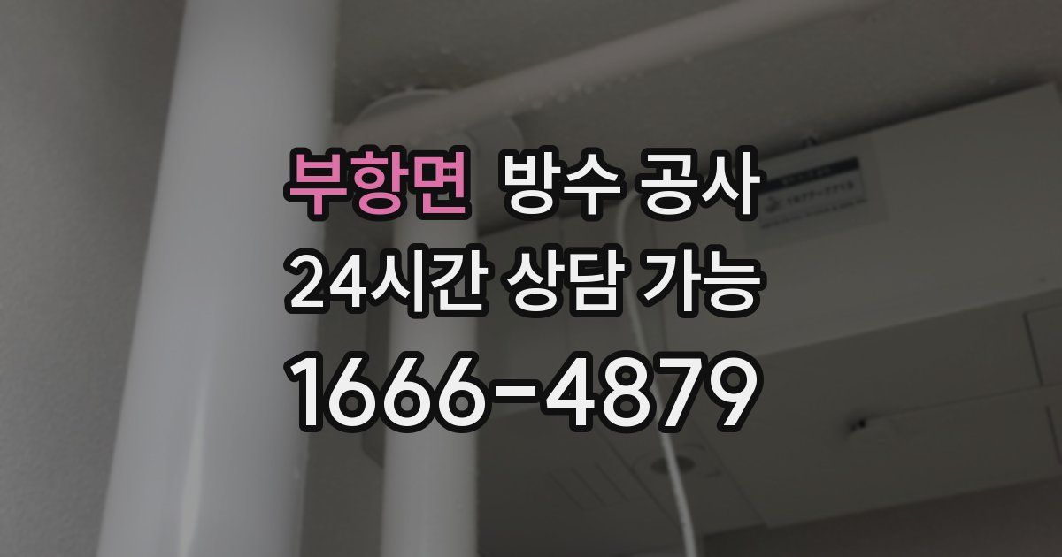 부항면 누수탐지