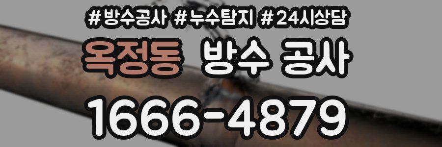 옥정동 방수 공사