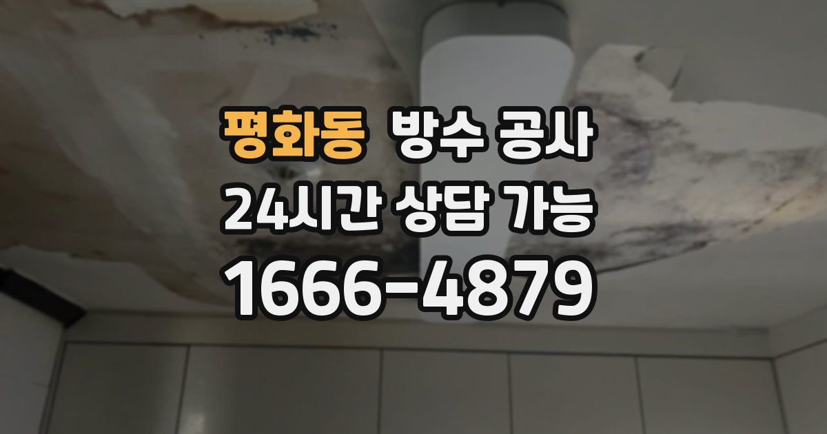 평화동 누수탐지