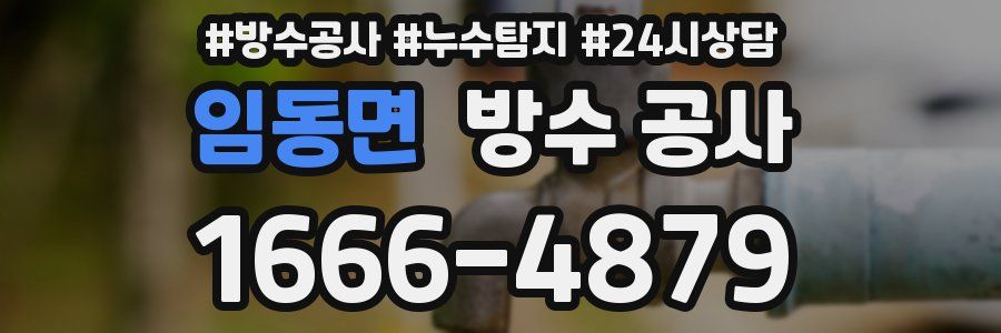 임동면 방수 공사