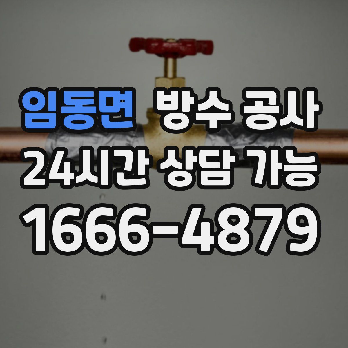 임동면 방수