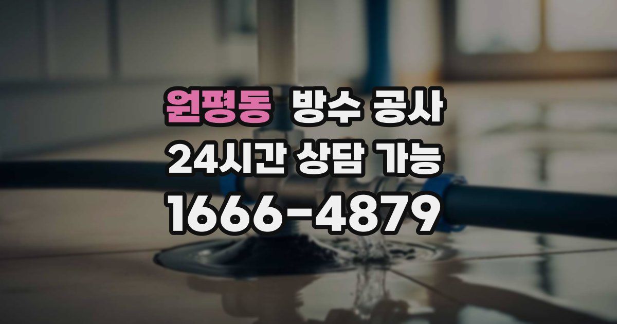 원평동 누수탐지