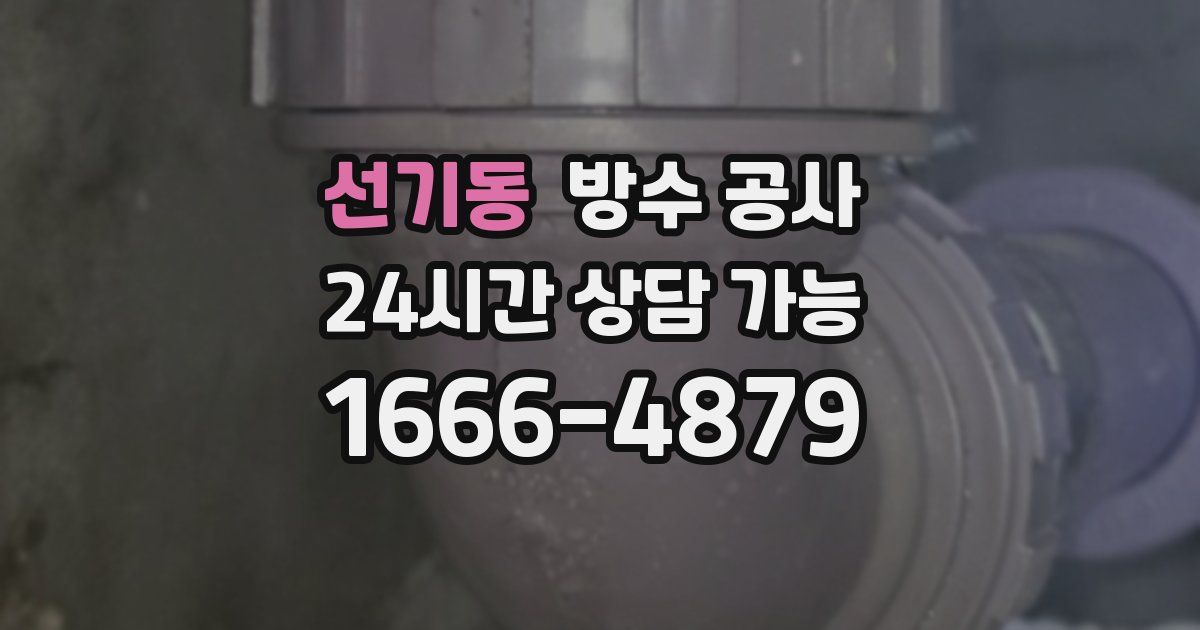 선기동 누수탐지