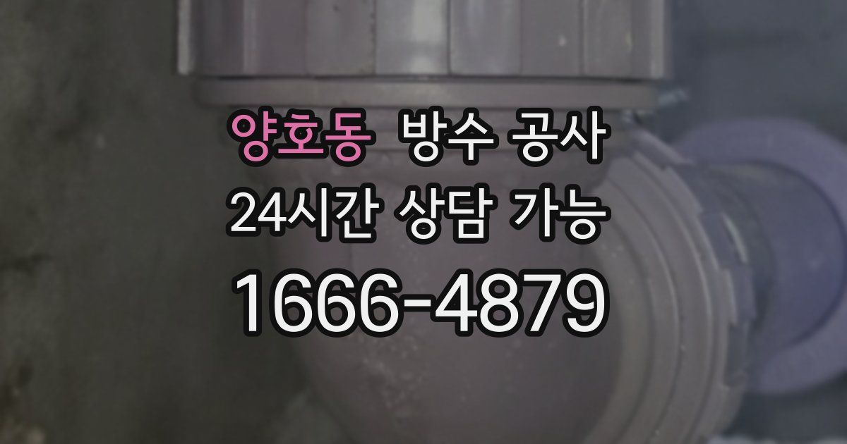 양호동 누수탐지