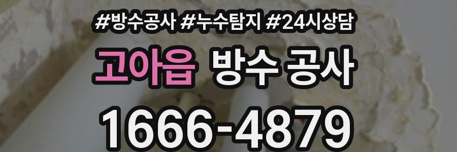 고아읍 방수 공사