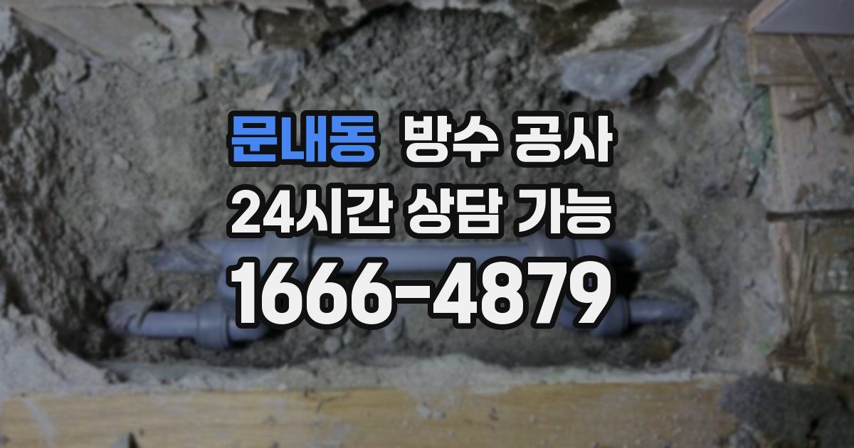 문내동 누수탐지