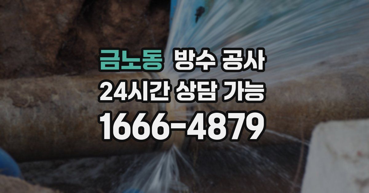금노동 누수탐지