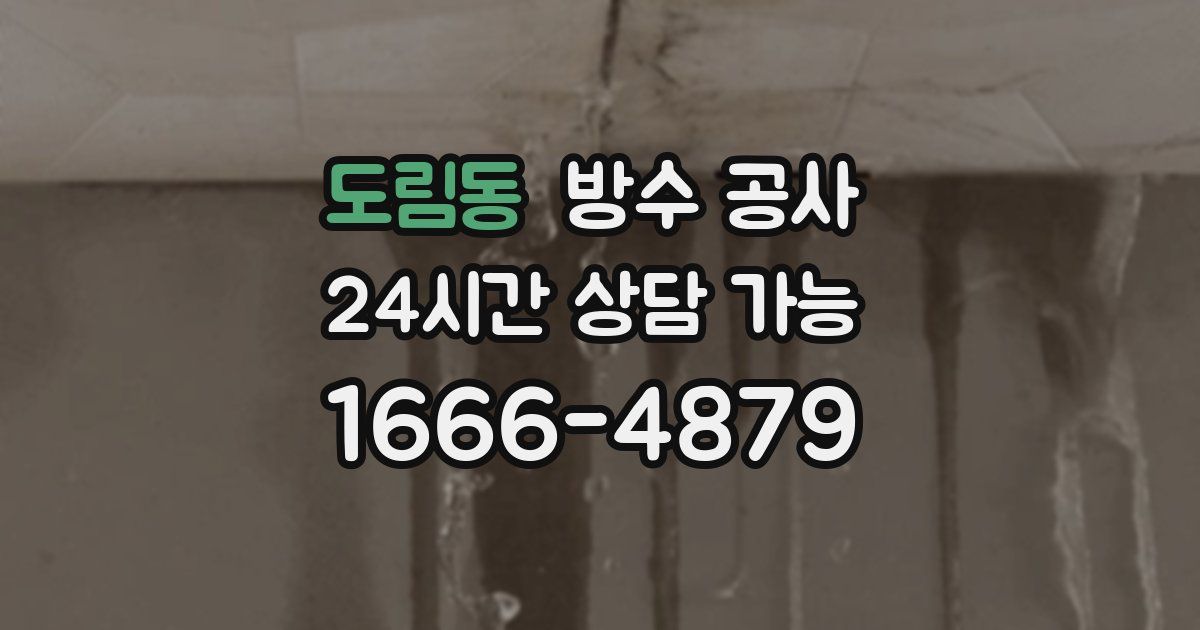 도림동 누수탐지