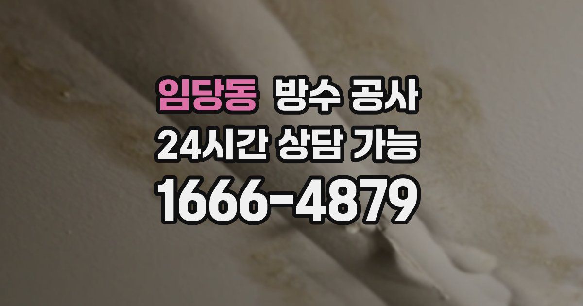 임당동 누수탐지