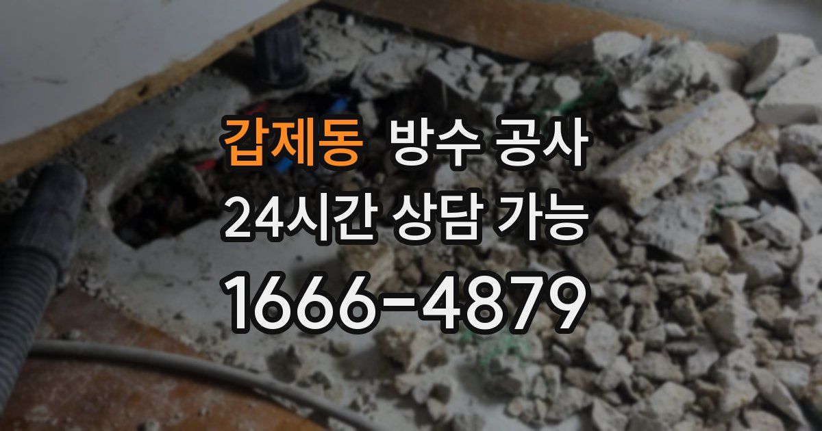 갑제동 누수탐지