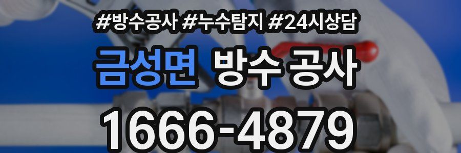 금성면 방수 공사