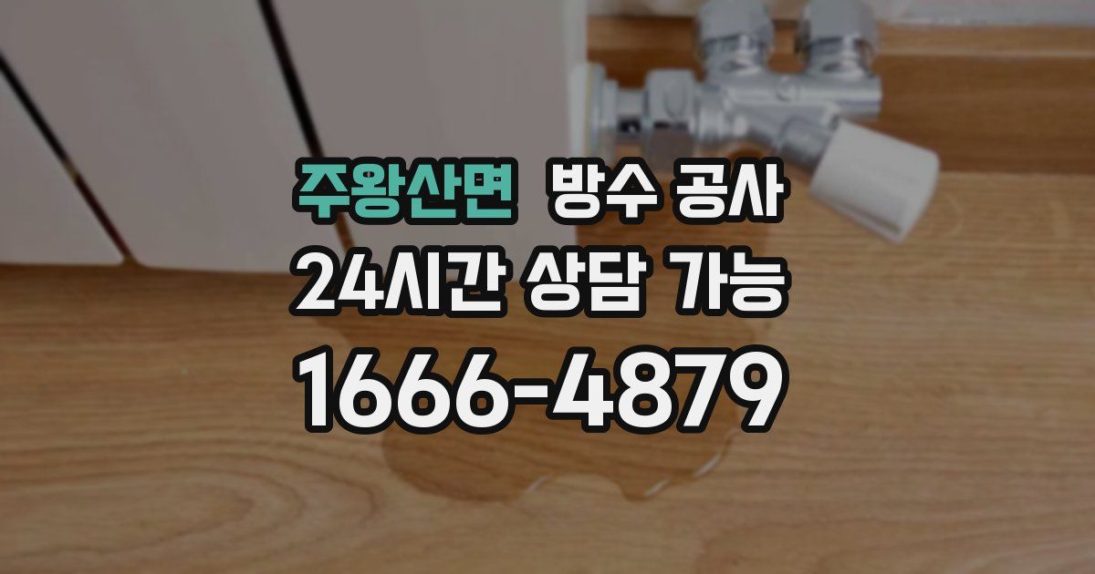 주왕산면 누수탐지