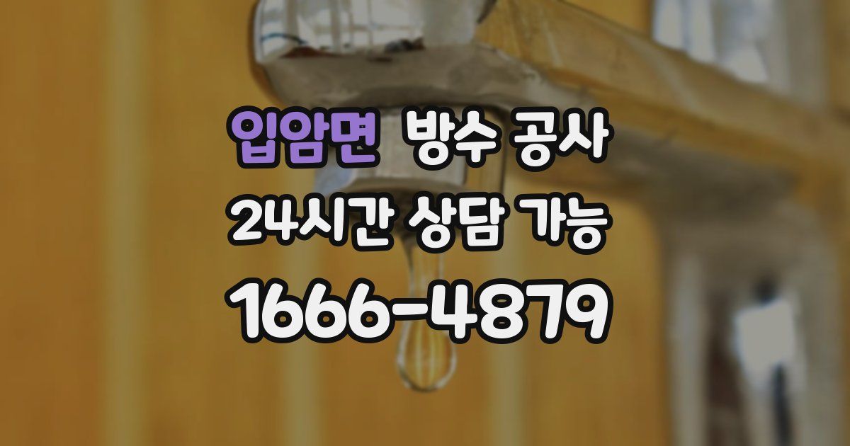 입암면 누수탐지