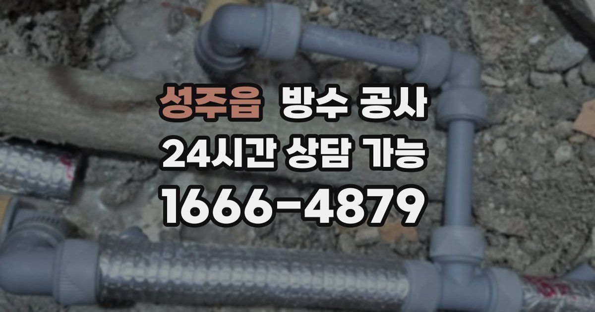 성주읍 누수탐지