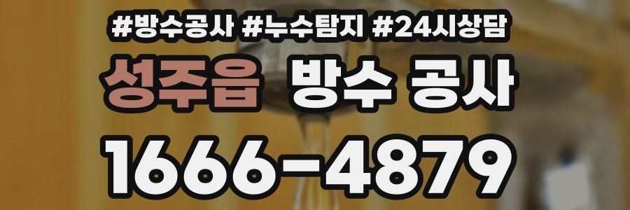 성주읍 방수 공사