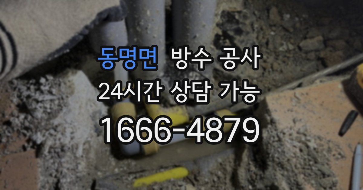 동명면 누수탐지