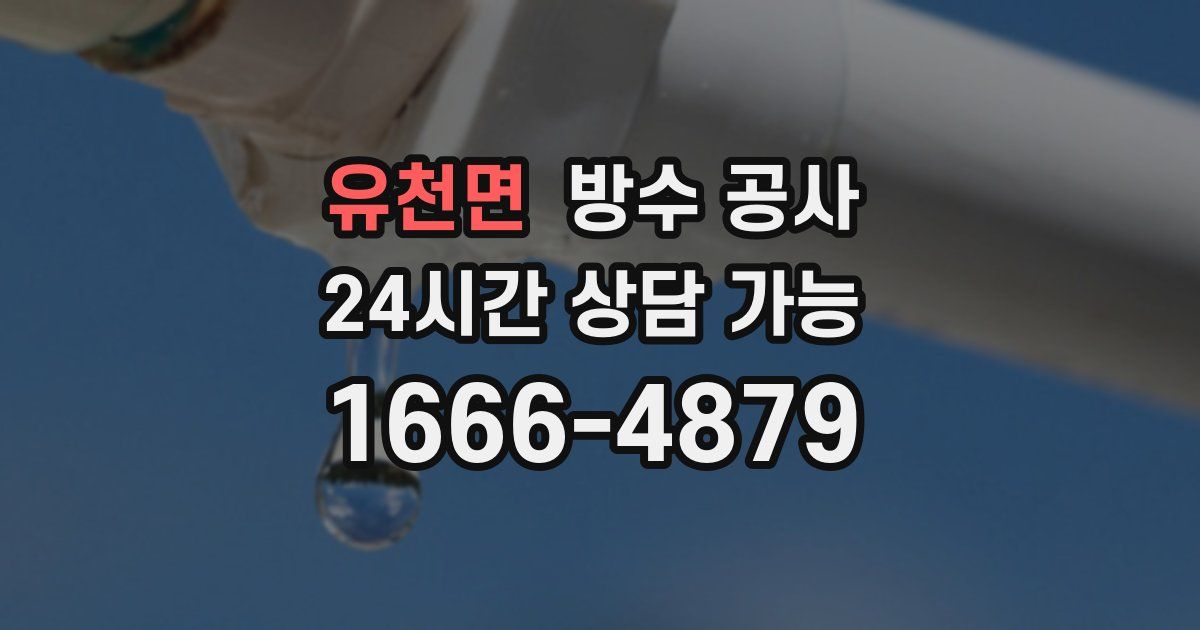 유천면 누수탐지