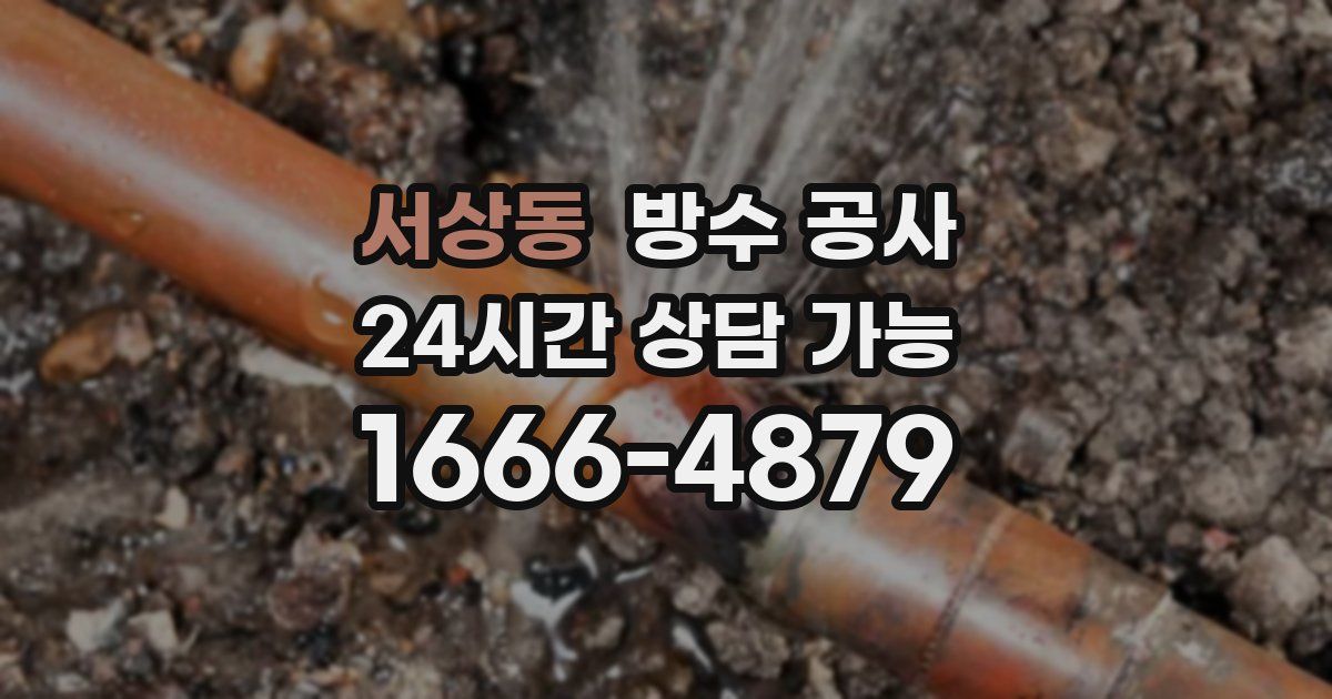 서상동 누수탐지