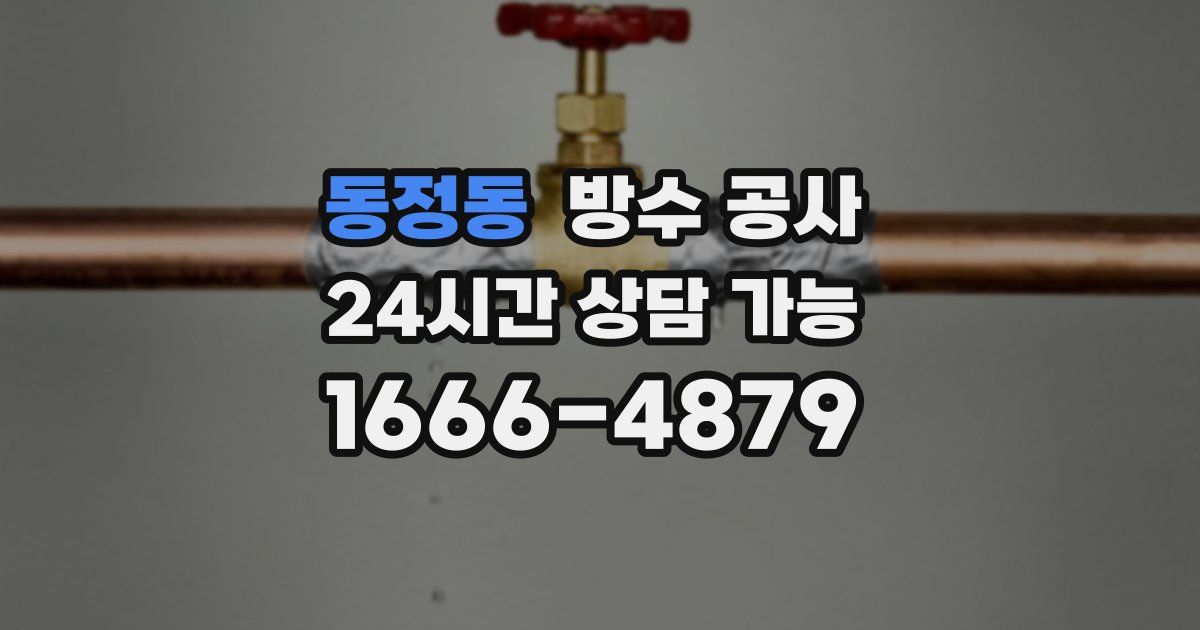 동정동 누수탐지