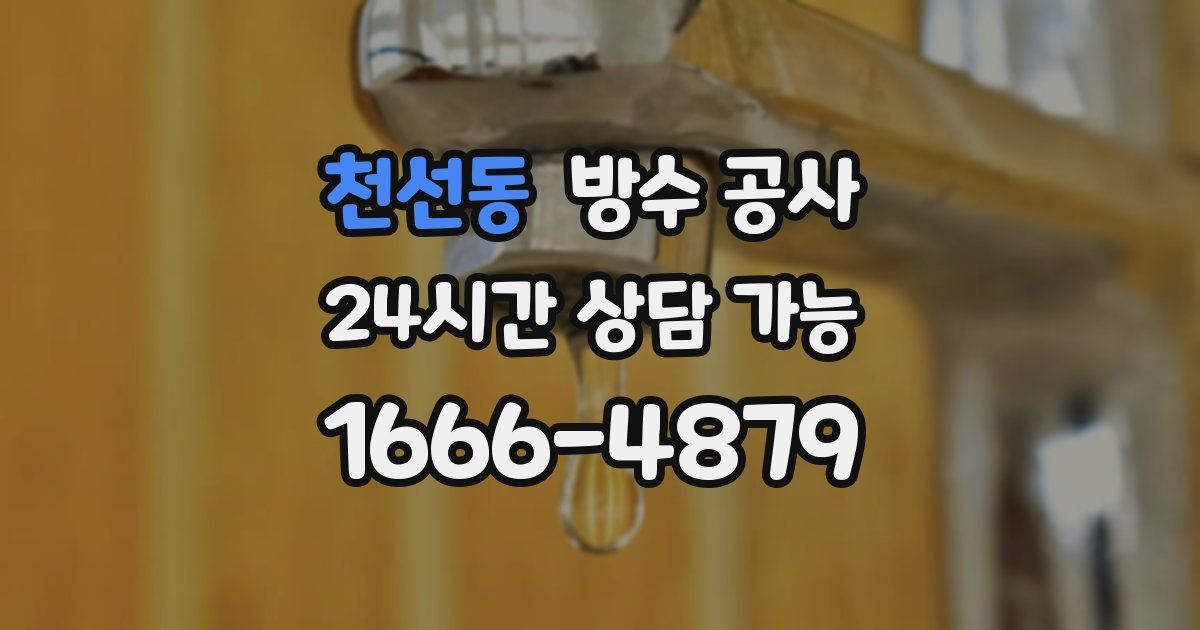 천선동 누수탐지