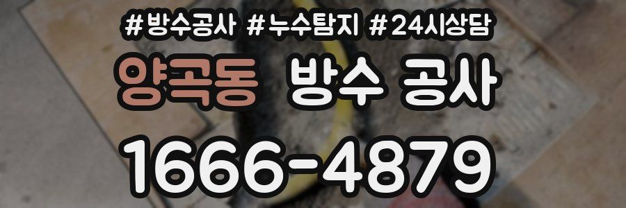 양곡동 방수 공사