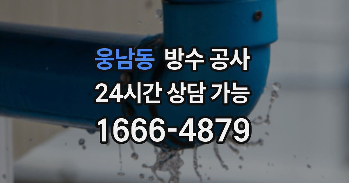 웅남동 누수탐지