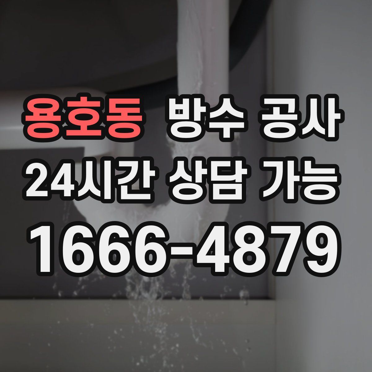 용호동 방수