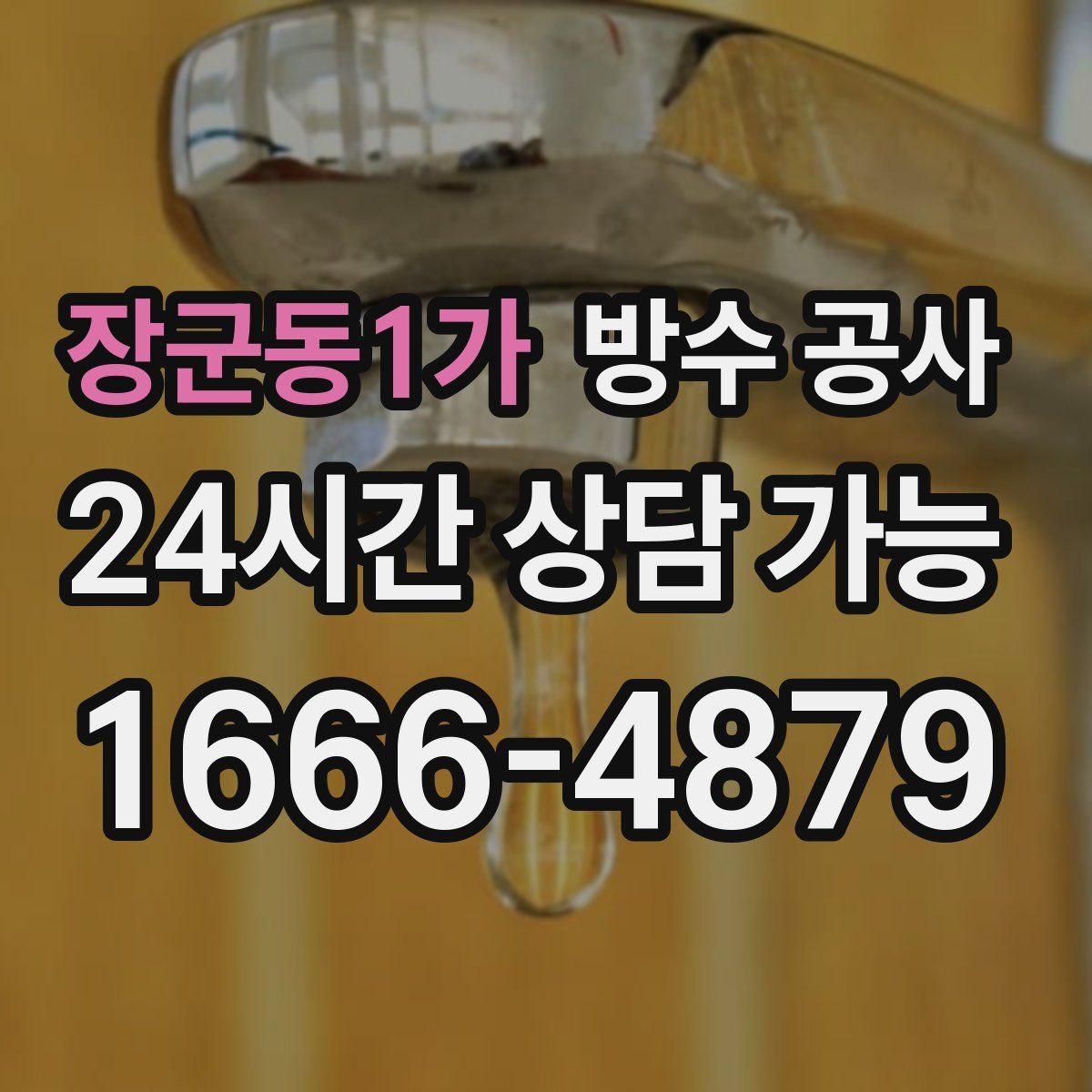 장군동1가 방수