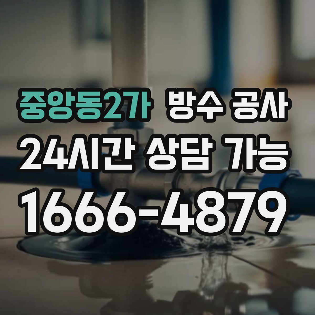 중앙동2가 방수