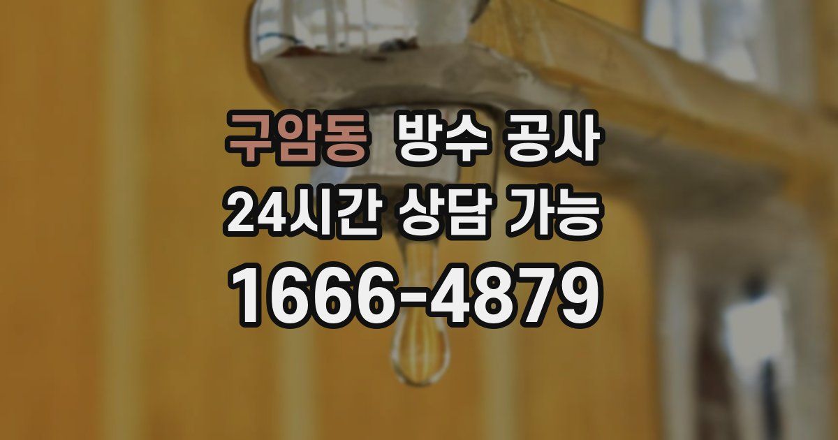 구암동 누수탐지