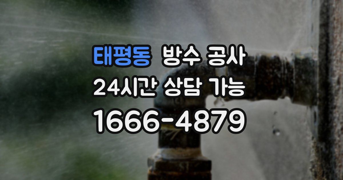 태평동 누수탐지