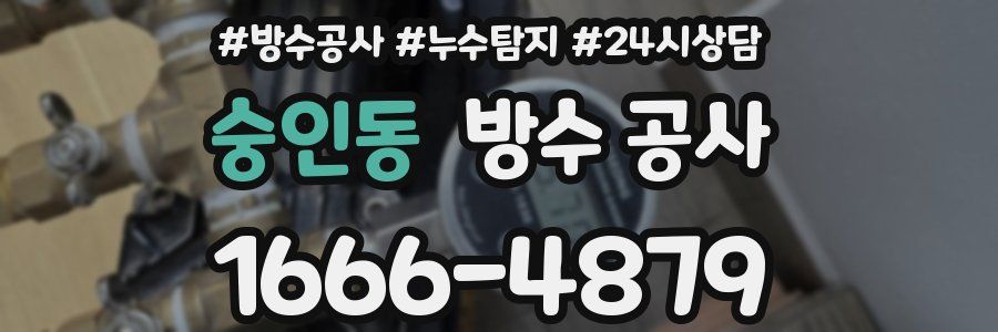 숭인동 방수 공사