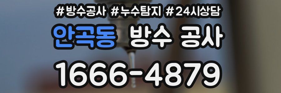 안곡동 방수 공사