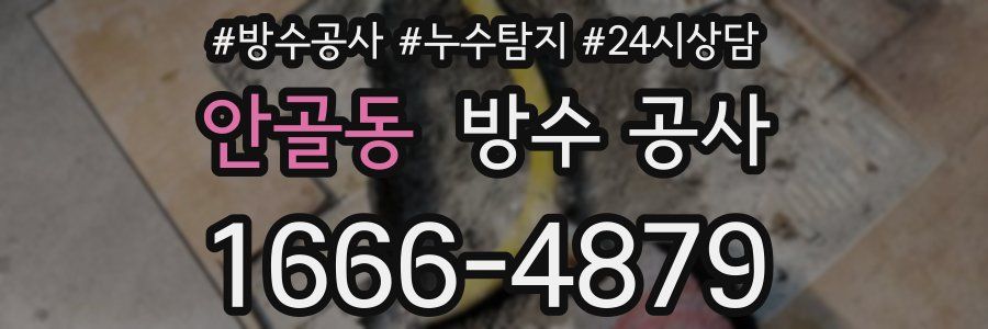 안골동 방수 공사