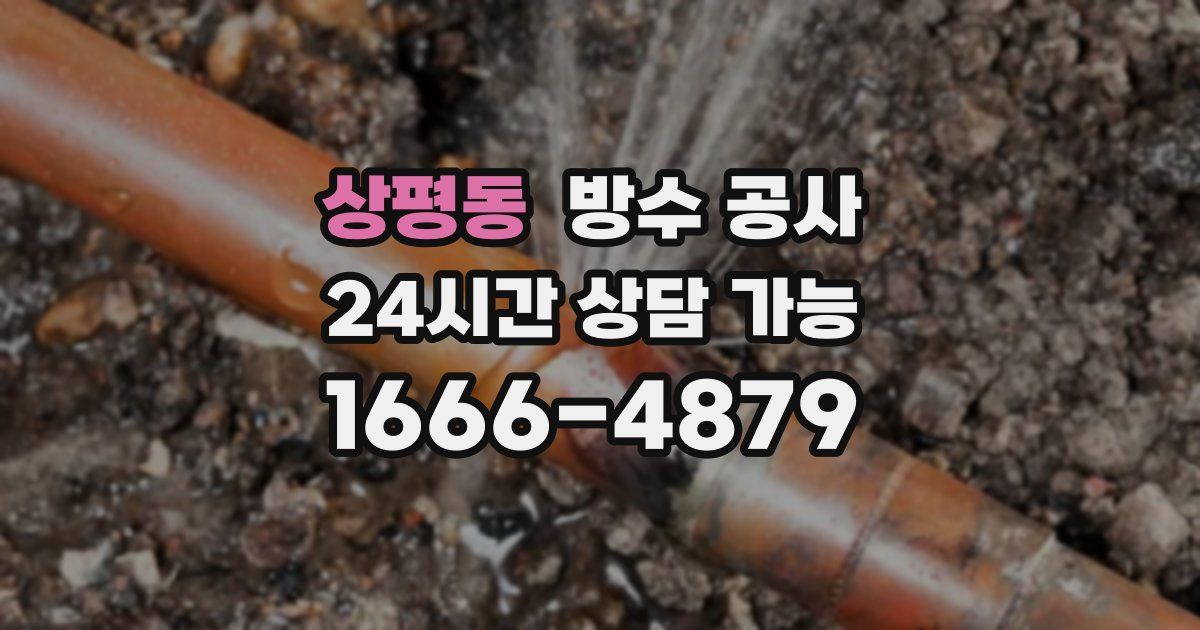 상평동 누수탐지