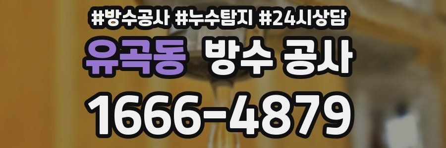 유곡동 방수 공사