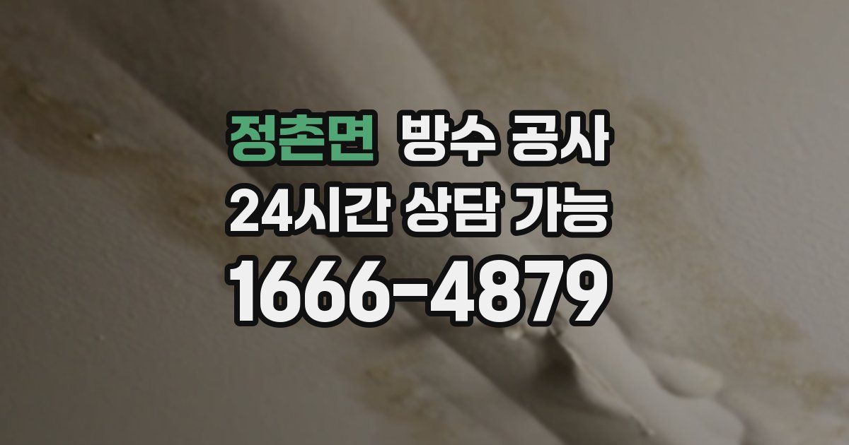 정촌면 누수탐지