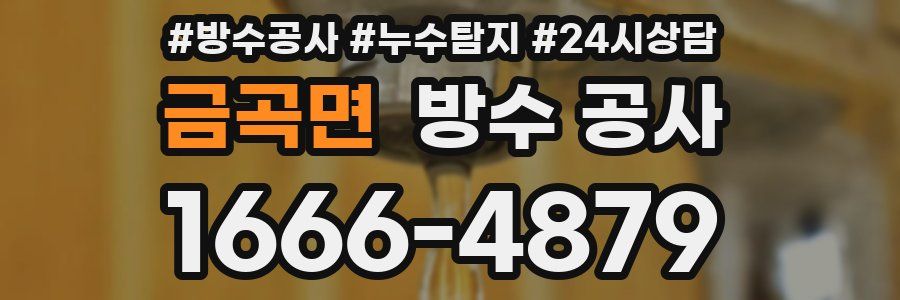 금곡면 방수 공사