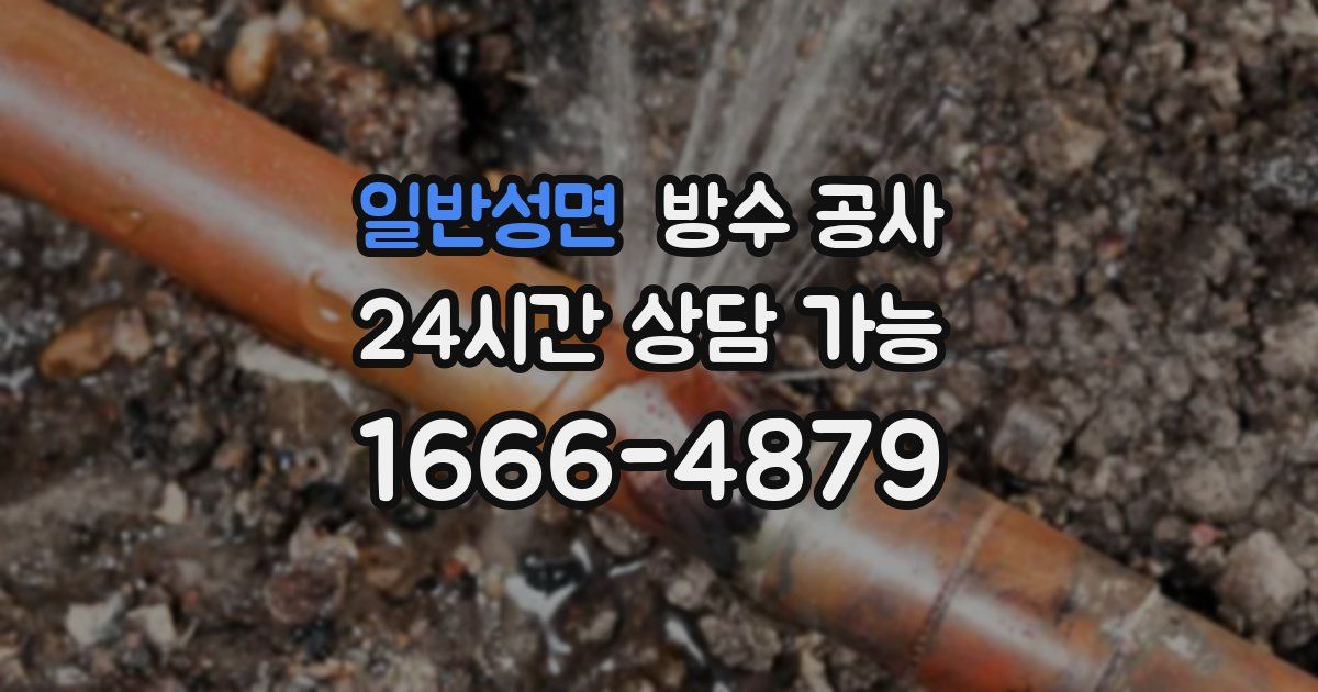 일반성면 누수탐지