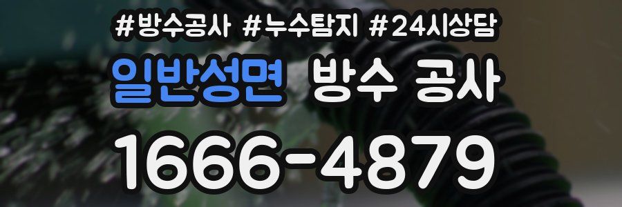 일반성면 방수 공사