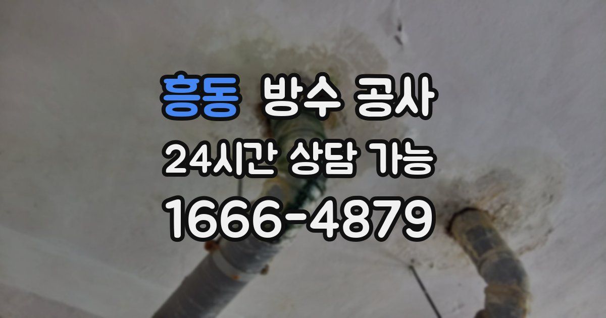 흥동 누수탐지