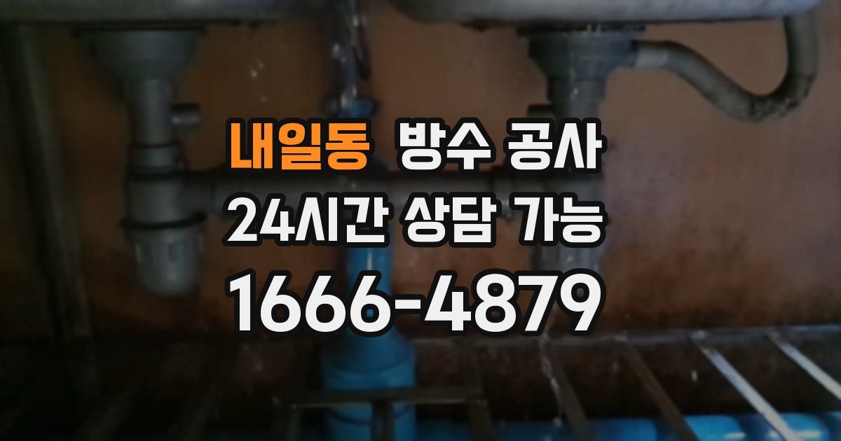 내일동 누수탐지