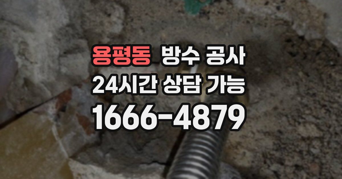 용평동 누수탐지