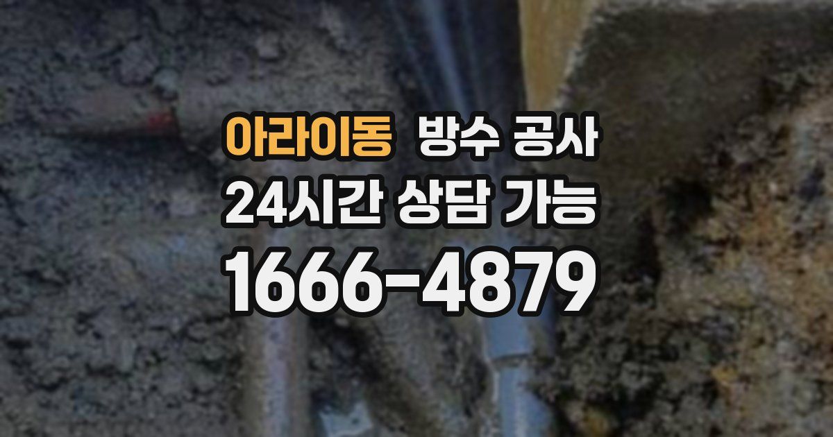 아라이동 누수탐지
