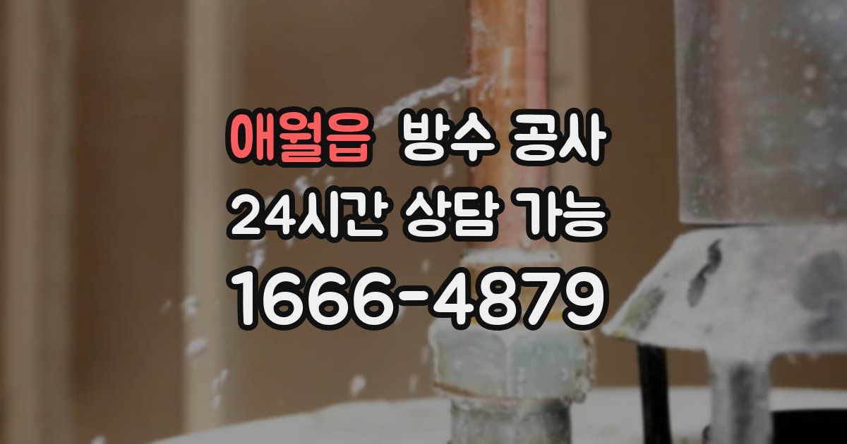 애월읍 누수탐지