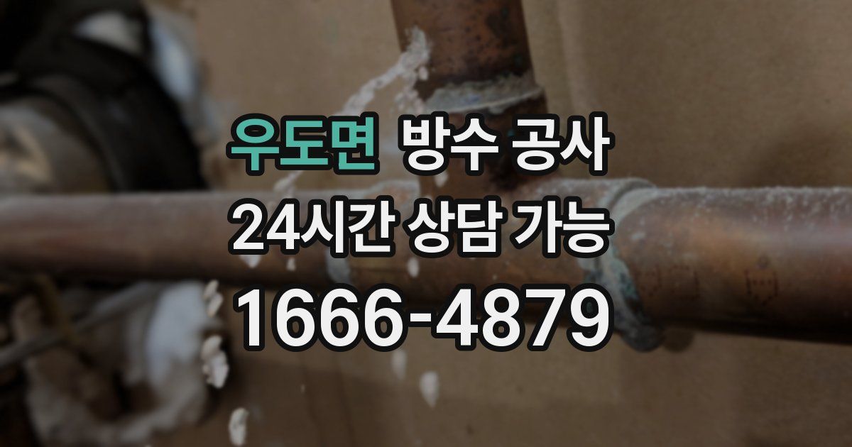 우도면 누수탐지